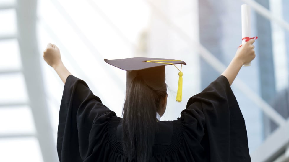 Fresh Graduate
